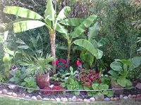 Photo0366.webp