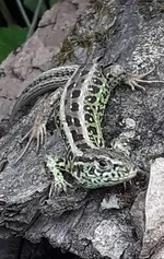 20190713_173002.webp