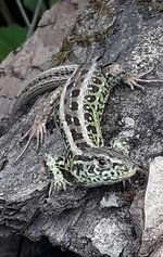20190713_173002.jpg
