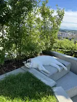 4AD5364D-C09D-46E7-8645-67941F9121C0.jpeg
