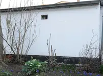 Sommerflieder nach Schnitt 20230226.webp