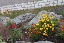 IMG_8938b.jpg