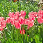 20230227_092032.webp