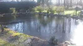 Eis-Teich.webp