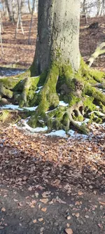 IMG_20230226_155010.webp