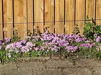 IMG_20230228_141205.webp