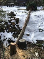 IMG_0793.JPG