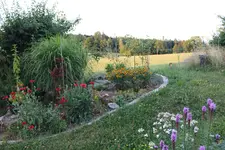 IMG_9175b.webp