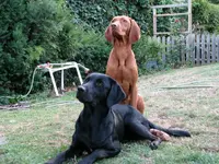 IMG-20140924-WA0005.webp