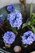 IMG_4835b.jpg