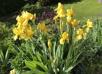 4E551742-378C-4ABC-9E12-524834E7DF85.jpeg