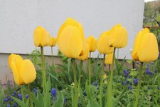 IMG_5647b.jpg