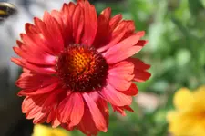 IMG_8218b.webp