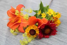IMG_8318b.webp