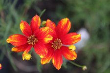 IMG_9158b.jpg