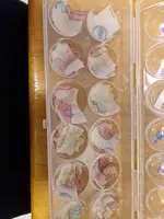 20230301_185236.webp