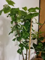 20230228_215053[1].webp