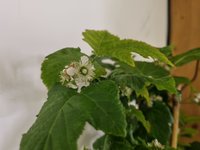 20230228_215050.jpg