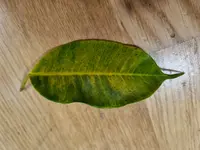 20230302_092433.webp