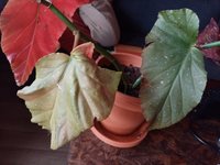 IMG_20230303_115023.jpg