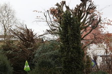 März 0223.JPG