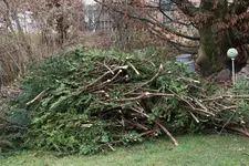 März 0423.webp