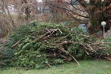 März 0423.JPG