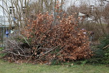 März 0523.JPG