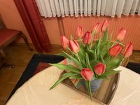 77FEDCF9-1072-4331-8BF0-B9F947325F97.jpeg