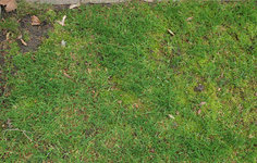 Rasen T9S 20230225.jpg