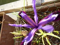 P1000202.webp