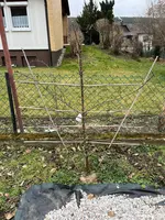 IMG-20230305-WA0012.webp