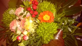 DSC_1555 (1).webp
