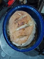 IMG_20230306_162839.jpg