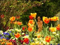 c063.webp