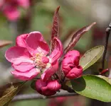 _MG_9307.webp