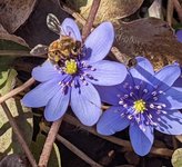 PXL_20220321_112640070~2.jpg