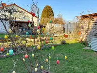 Garten Anfang März 9.webp