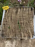 Vogel-Schutz_Blumenzwiebeln_B_01.webp