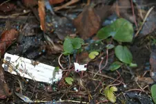 DSC00504.webp