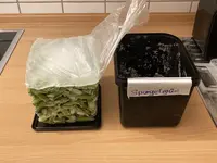 Grüner Spargel einfrieren_02.jpg