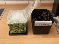 Grüner Spargel einfrieren_02.jpg