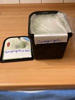 Grüner Spargel einfrieren_01.jpg