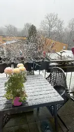 IMG-20230308-WA0002.webp