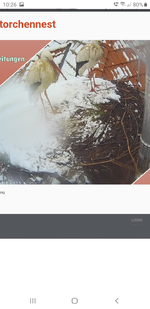 Screenshot_20230308-102652_Samsung Internet.webp