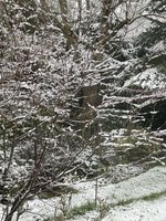 F0370391-6885-4B24-91FE-F01B3B78C87C.jpeg