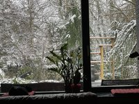6BB2590D-4B9D-4817-8C95-D5918A38E317.jpeg
