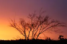 IMG_1662b.webp