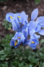 IMG_2022b.webp
