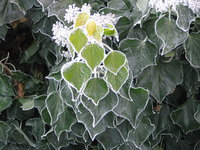 IMG_1494.JPG